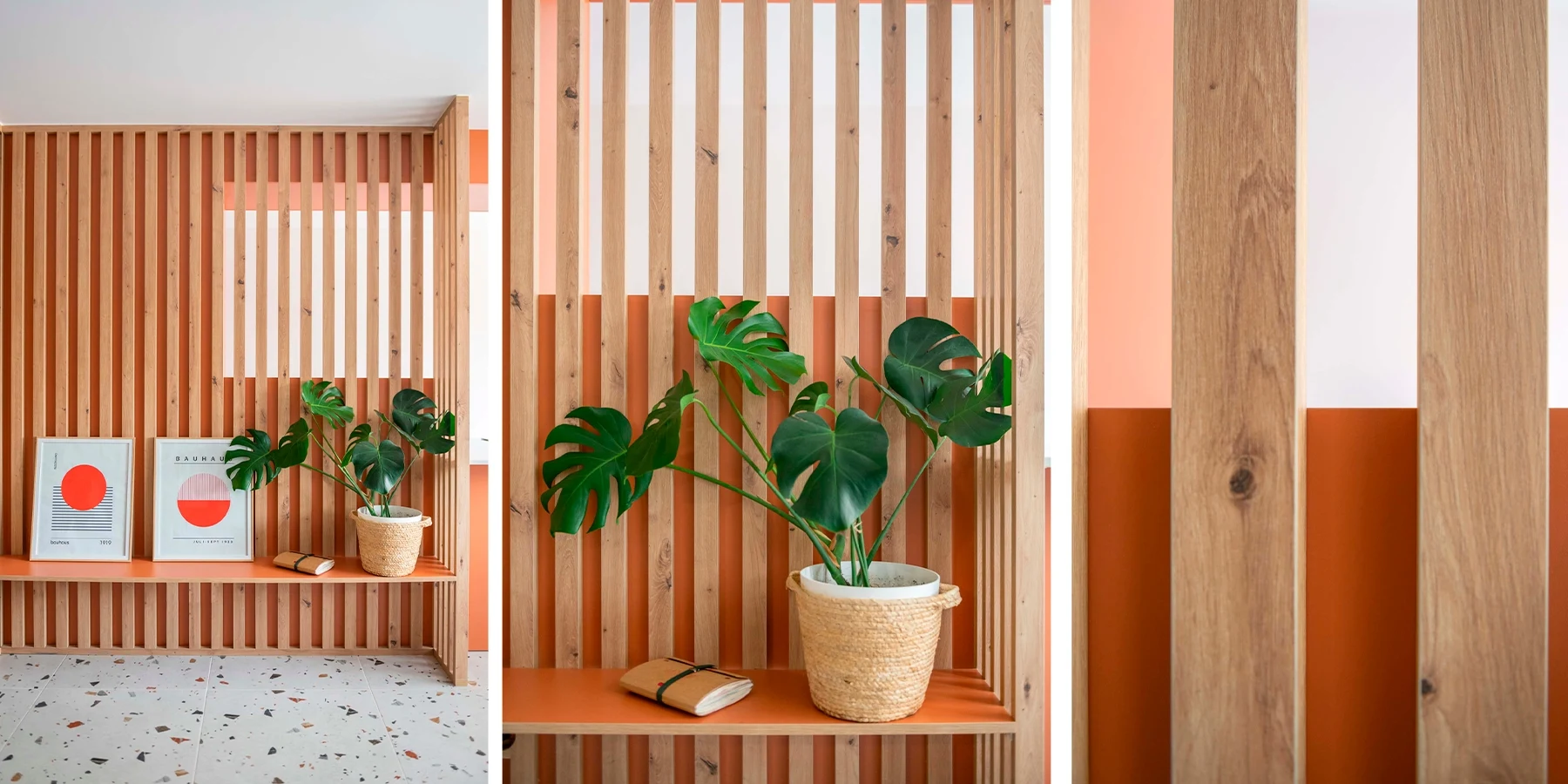 PIRAGUA HOME — imagen 02