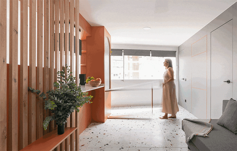 PIRAGUA HOME — imagen 11