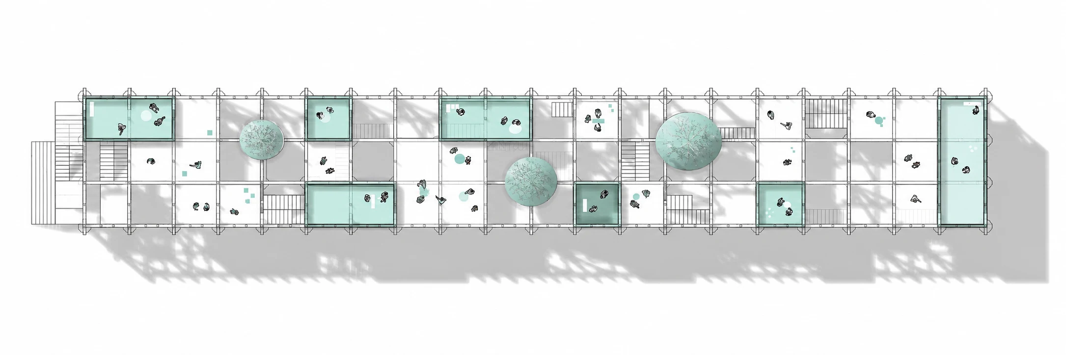 CORAL GARDENING — imagen 02