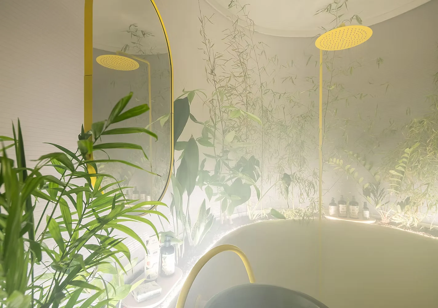 CØRRIGAN ESTUDIO — imagen 12